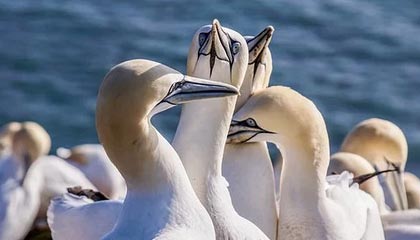 开云网址入口-【青少年训练指南】入门到精通的训练路线图，青少年训练营有用吗